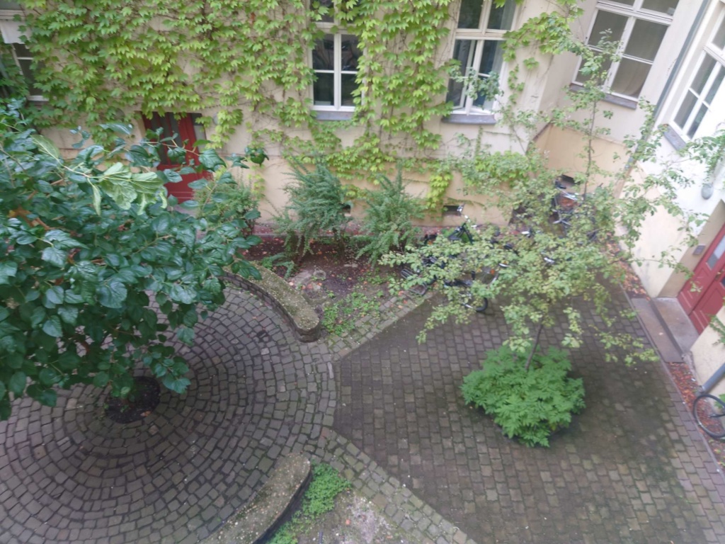 Wohnung Mitte Oranienburger Str. - Bild 13