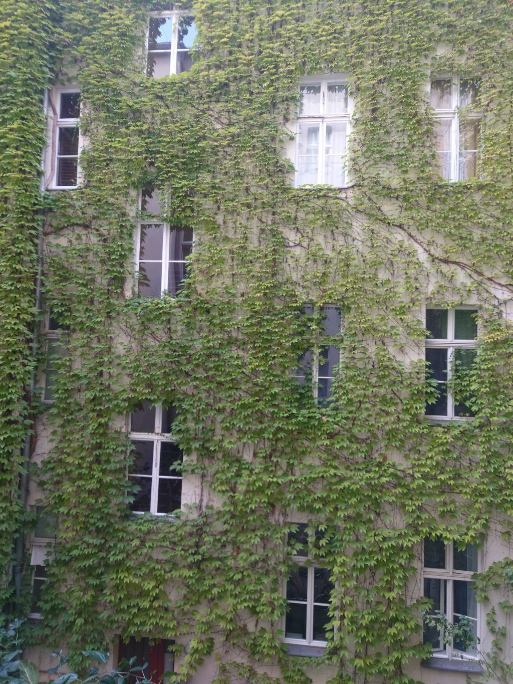 Wohnung Mitte Oranienburger Str. - Bild 15
