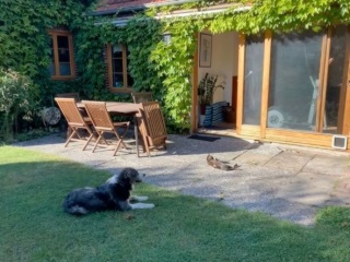 Imagen del anuncio: Haus mit Garten im Bremer Umland: MitbewohnerIn gesucht