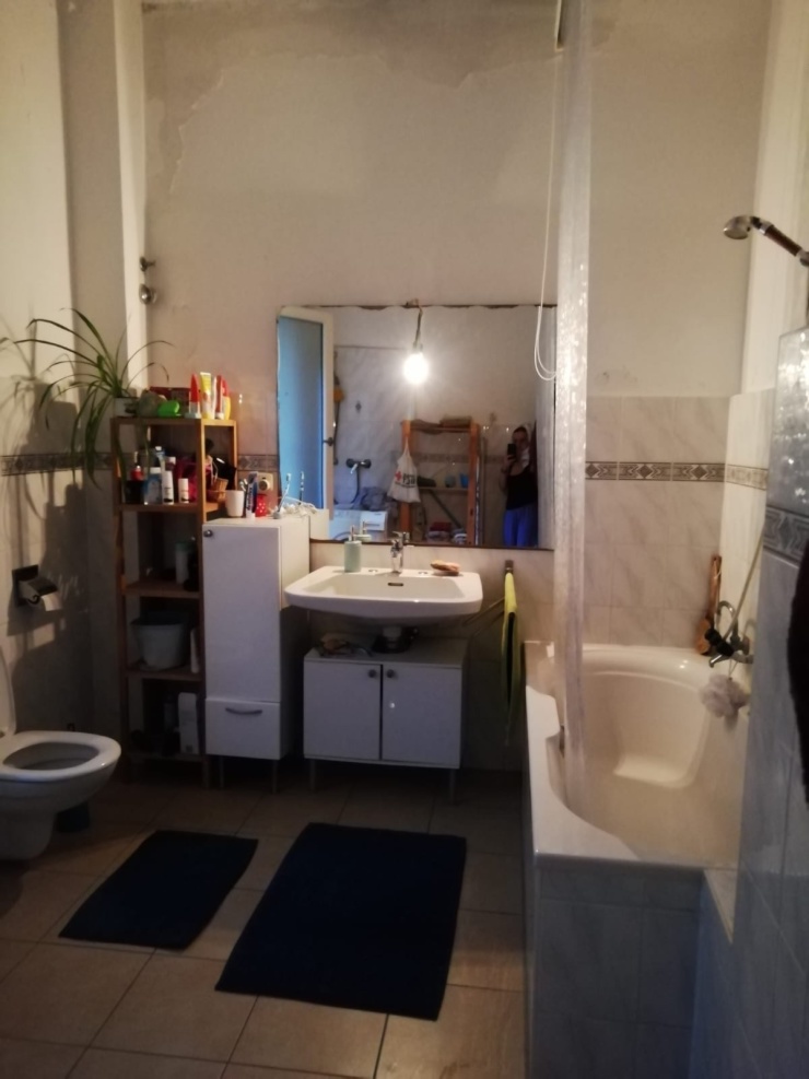 WGZimmer in charmanter Altbauvilla mit Garten Wohngemeinschaften in