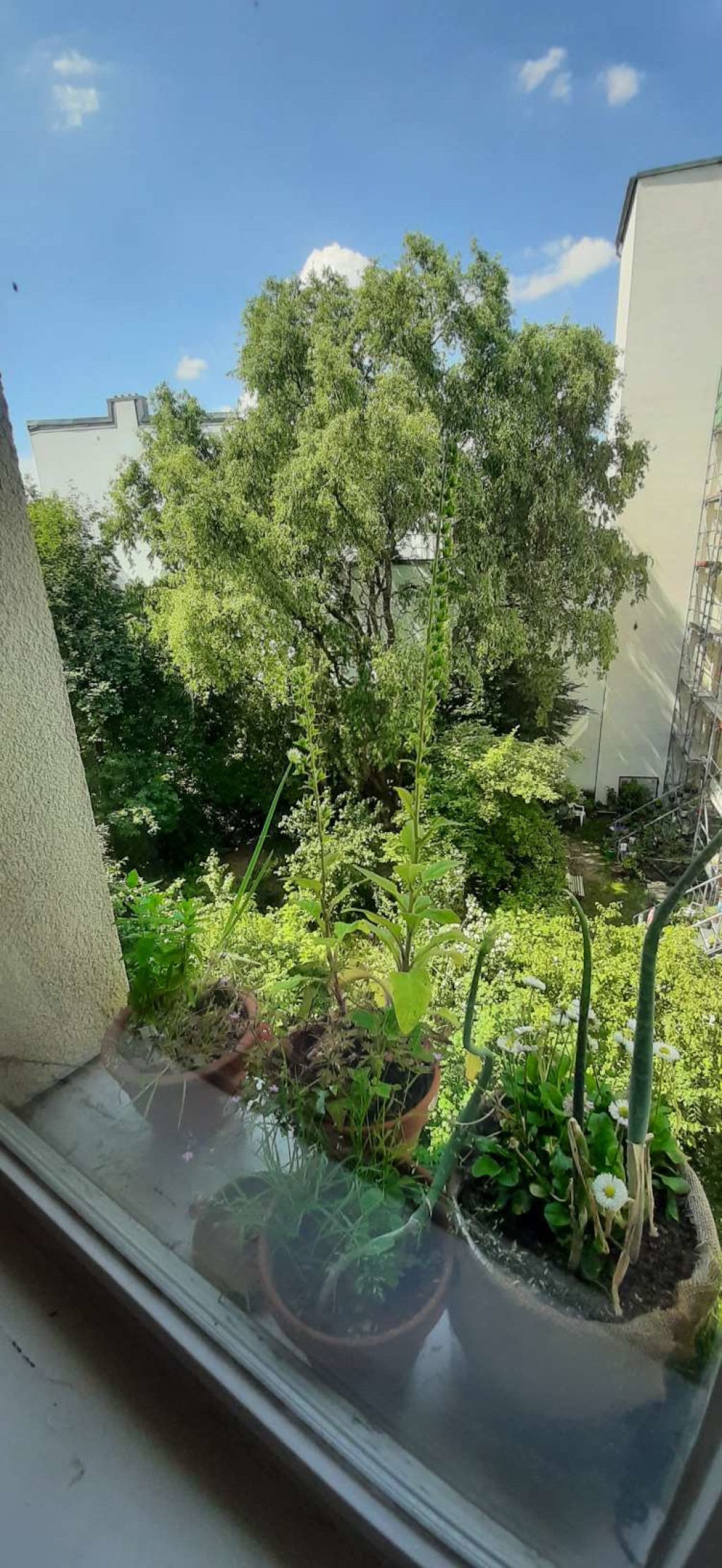 Flat Sternschanze Fettstraße 35 - Innenhofaussicht von der Küche