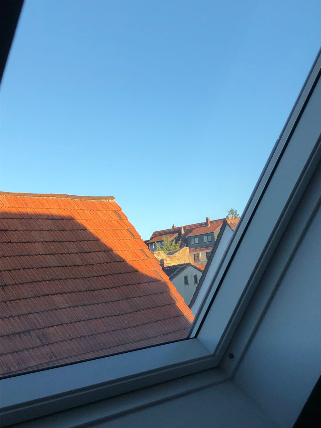 Wohnung Bretzenheim Wilhelmsstraße 35 - Ausblick über den Dächern von Mainz