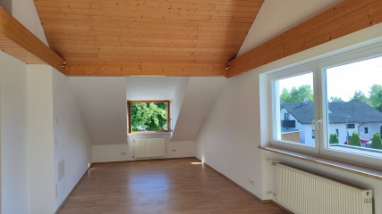 Anzeigenbild: DG-Wohnung mit großer Dachterrasse (64m² + 49m² zusätzlich)