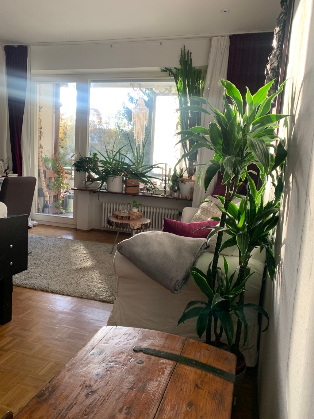 1-Zimmer-Wohnung Bogenhausen Ismaningerstr. 67 - Wohnbereich