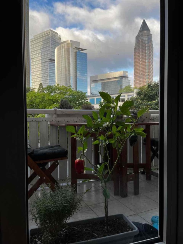 Spacious and bright apartment in the heart of Westend Wohnung in Frankfurt am MainWestendSüd