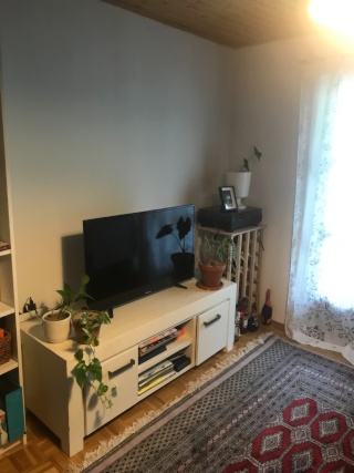 Anzeigenbild: Wohnung in der Altstadt zur Zwischenmiete