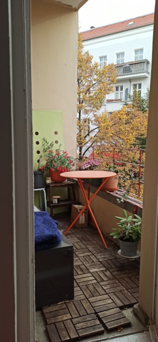 Ad image: : A Pankow Palazzo