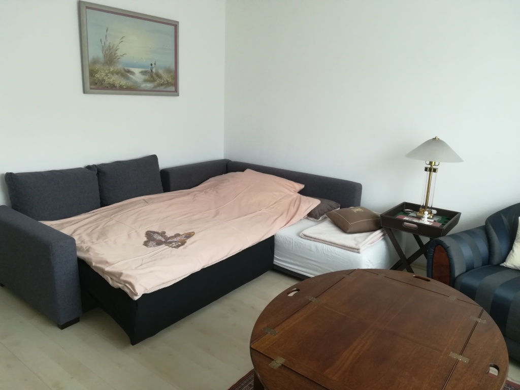 WG-Zimmer Borgfelde Bürgerweide - Bett - Sofa