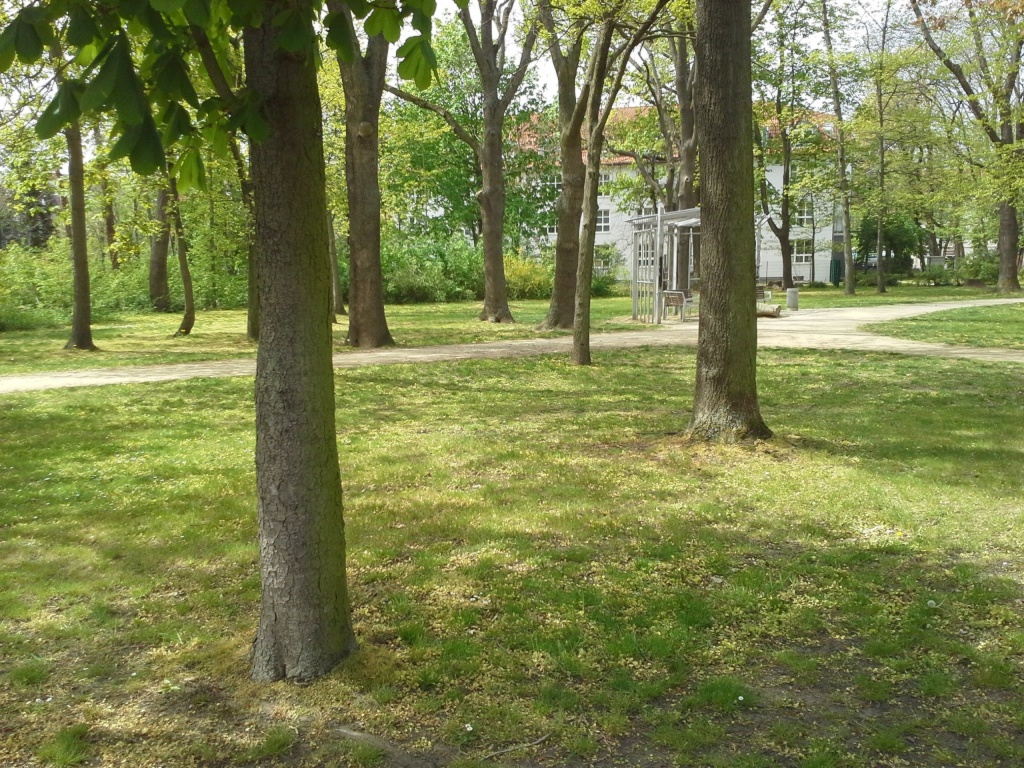 City Whg 04420 Markranstädt Stadtpark Ratsgut – Hordisstr - Innenhof, 4420 Leipzig Markranstädt – Vorschaubild 20