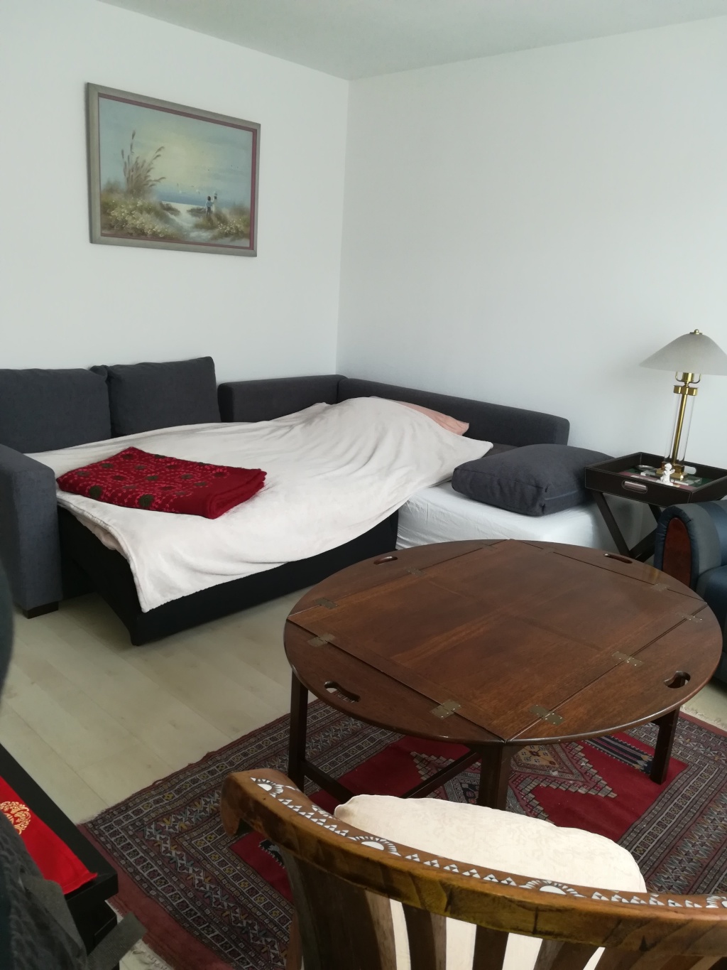WG-Zimmer Borgfelde Bürgerweide - Bett - Sofa