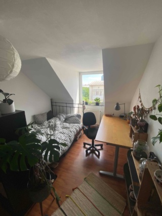 Anzeigenbild: WG-Zimmer 16m², Berufstätigen-WG Ü30