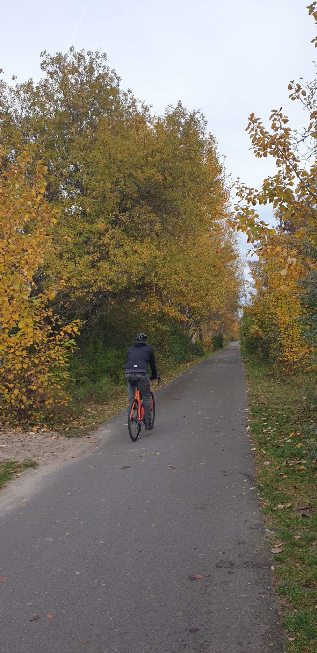 Flatshare Treptow Heidekampweg 49 - Mauerweg