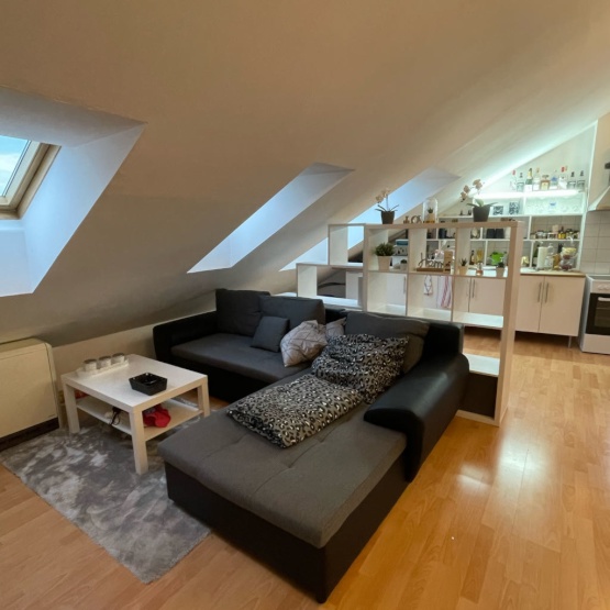 Schöne Dachgeschosswohnung in Mannheim 1ZimmerWohnung in Mannheim