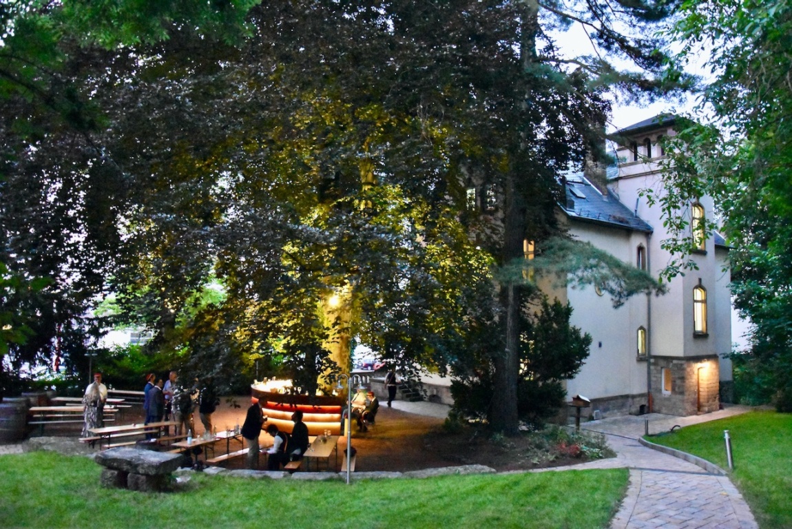 WG-Zimmer Hartenberg/Münchfeld Mombacher str. 87 - Traumhafte Blutbuche, unser Naturdenkmal