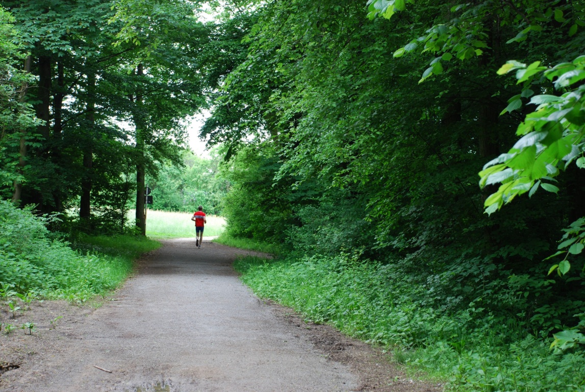 WG-Zimmer Möhringen Kremmlerstr. - Jogging (200 m entfernter Wald)