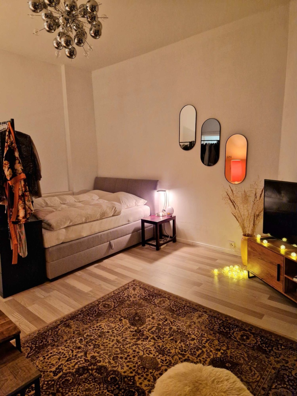 Wohnung Prenzlauer Berg Schliemannstraße 45 - Schlaf/ Wohnzimmer