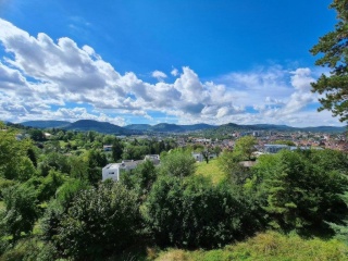 Anzeigenbild: Zi. 8 - WG mit größtem WG-Wohnzimmer Reutlingens sucht neue Bewohner