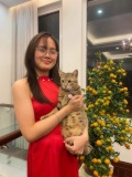 Ms/Mrs Nguyễn
