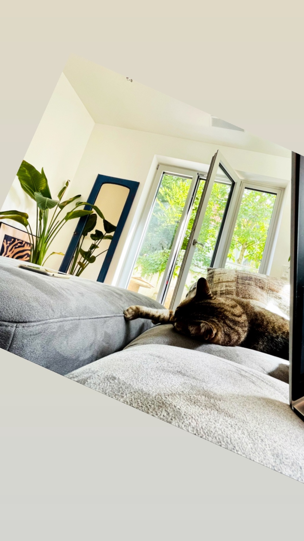 Nur für Cat Lovers- !!!-14.08.2026 bis 05.09.2026- Sehr schöne 2 Zimmer Wohnung Zwischenmiete Implerstrasse – Plinganserstrasse, 81369 München Sendling – Vorschaubild 2