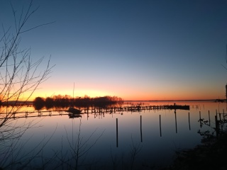 Ad image: Schnuckliges WG Zimmer am Steinhuder Meer mit großer Wohnküche