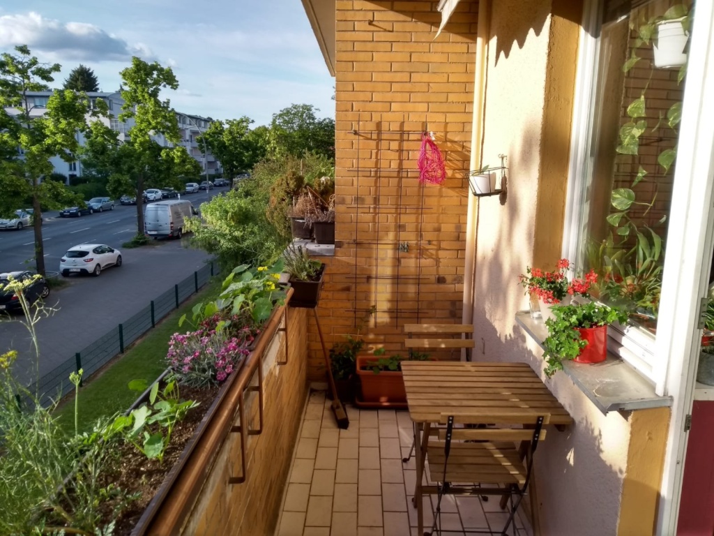WG-Zimmer Tempelhof Marienfelde Marienfelder Allee - Der Balkon