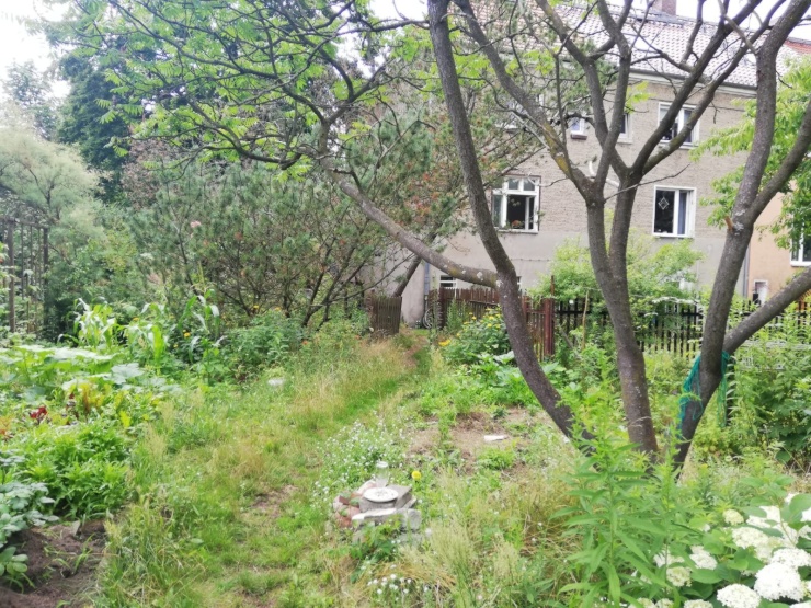 FrauenWG + Garten sucht Zuwachs