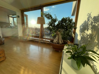 Große Maisonette WG mit Jungle & Sonnenuntergang