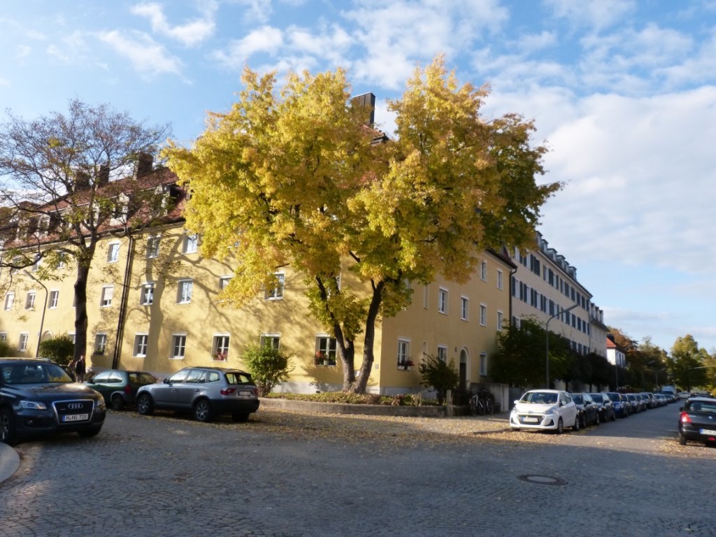 Flatshare Neuhausen-Nymphenburg Döllingerstraße - picture 5