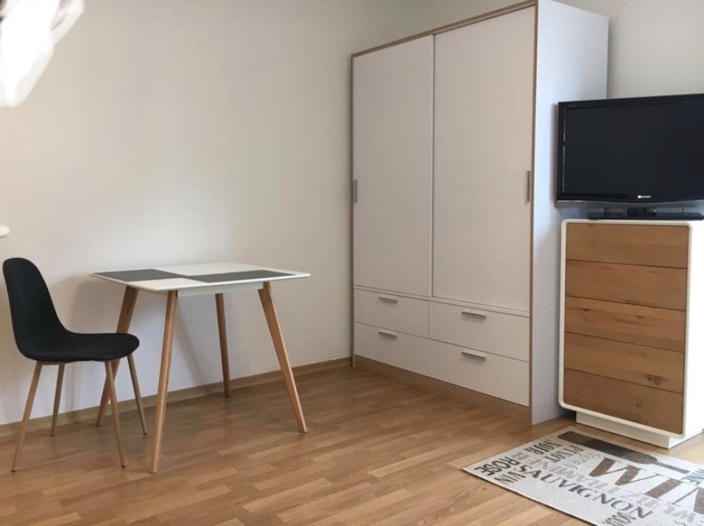 1-Zimmer-Wohnung Seidnitz Prof.-Ricker Straße 18 - Bild 7