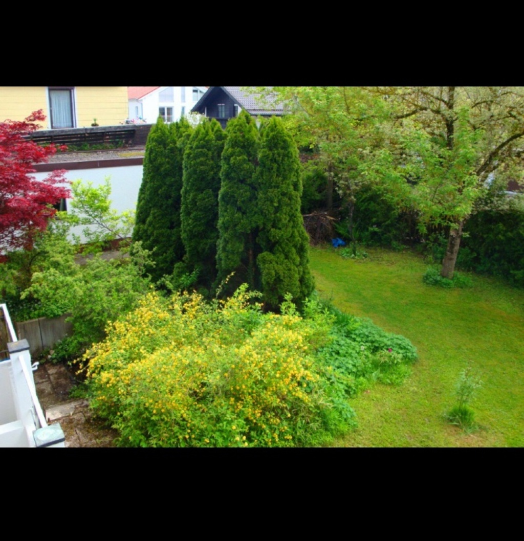 Flatshare Ottobrunn Dahlienstraße 19 - picture 16