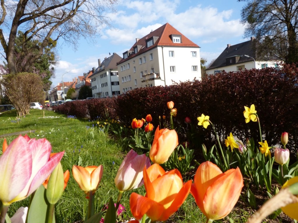 Flatshare Neuhausen-Nymphenburg Döllingerstraße - picture 6