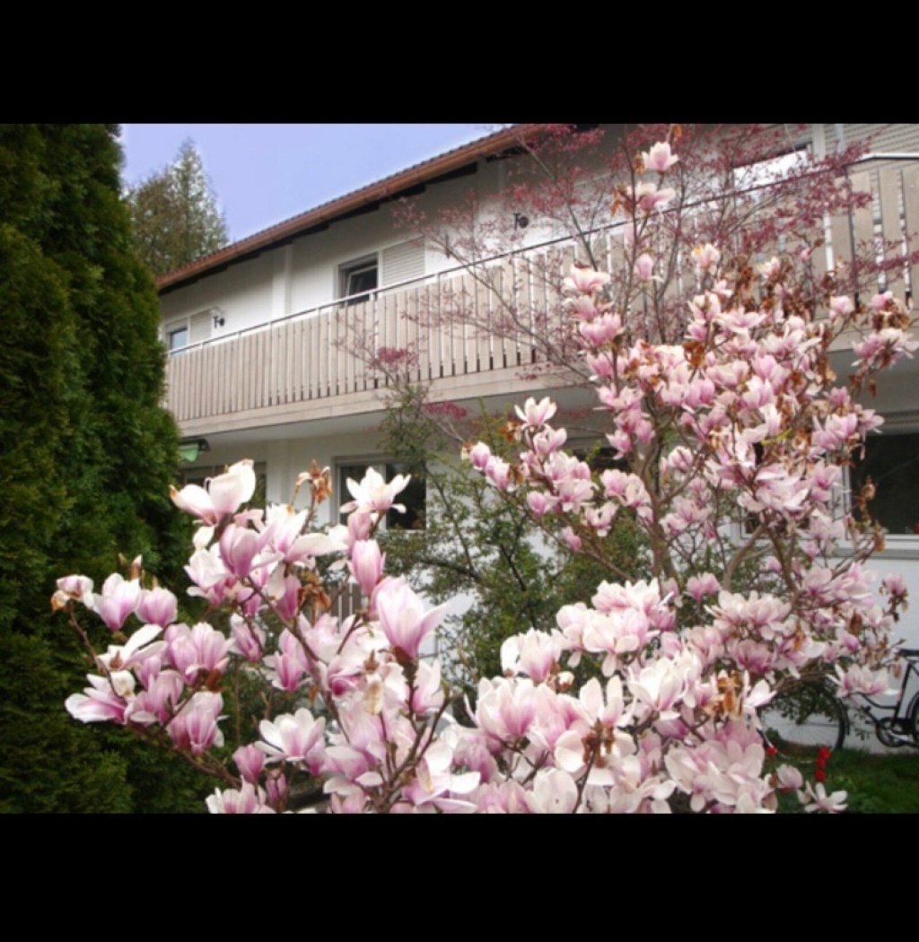 Flatshare Ottobrunn Dahlienstraße 19 - picture 15