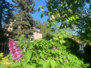 Anzeigenbild