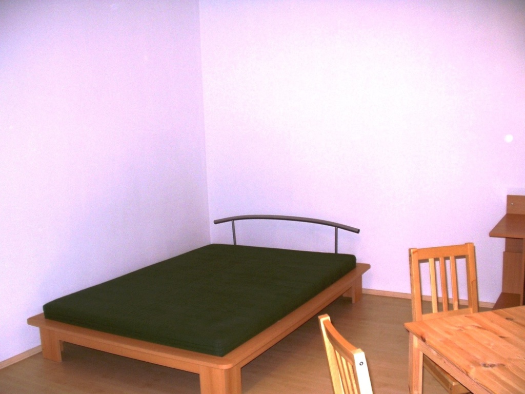 Wohnung Universitätsviertel Wilfriedgasse 12 - Schlafgelegenheit im Wohnschlafraum