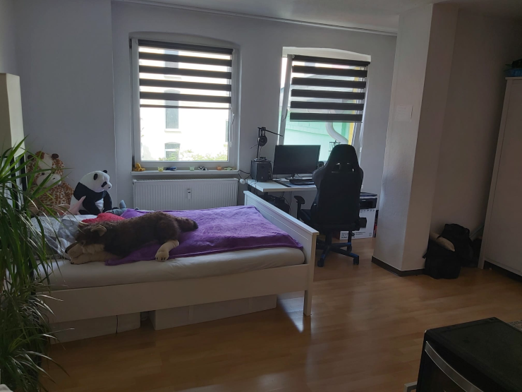 Günstige, schöne 1Raumwohnung mit Einbauküche in Erfurt 1Zimmer