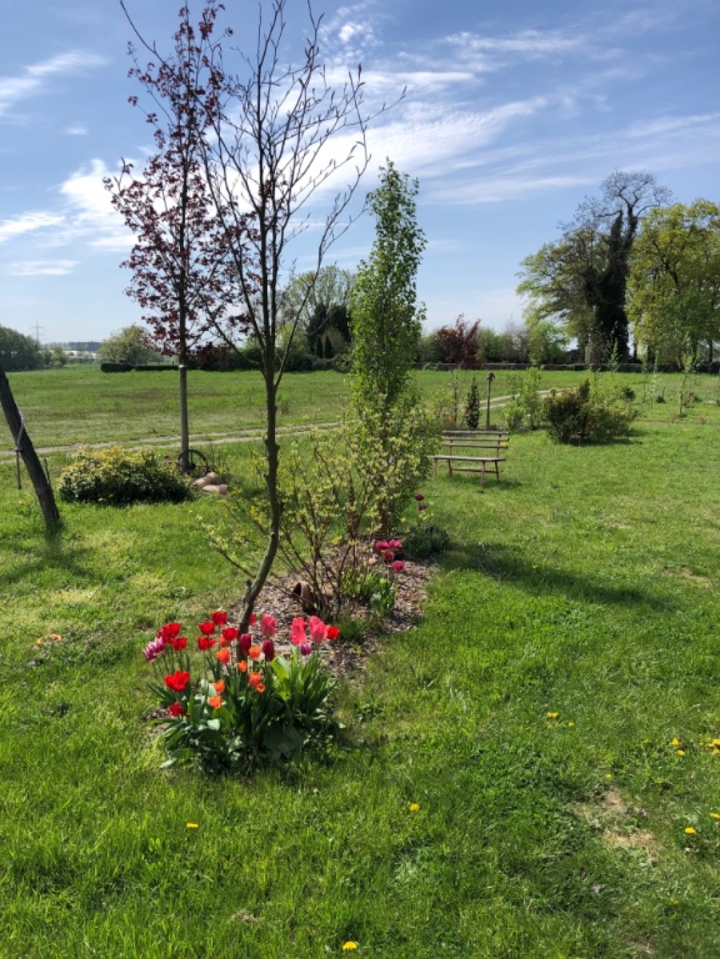 WG-Zimmer Biegen Siedlerweg - Garten