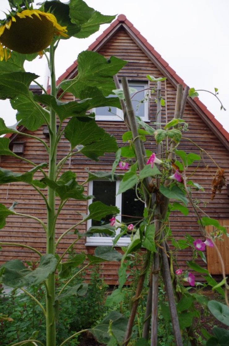 HausWG mit Garten, Kindern und Hund WG Suche KielPries