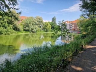 Anzeigenbild
