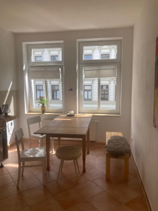1-Zimmerwohnung in Plagwitz flexibel befristet