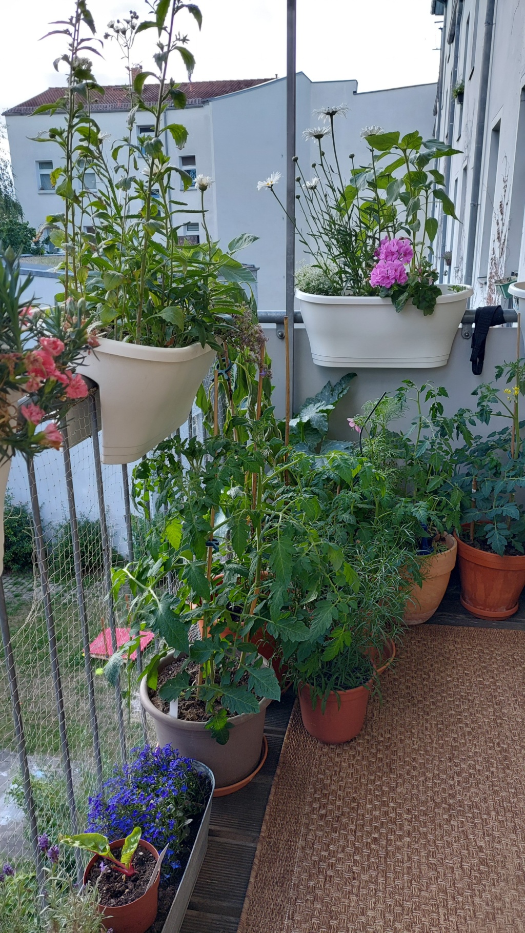 Habitación en WG Lichtenberg Lückstraße 11 - foto 5