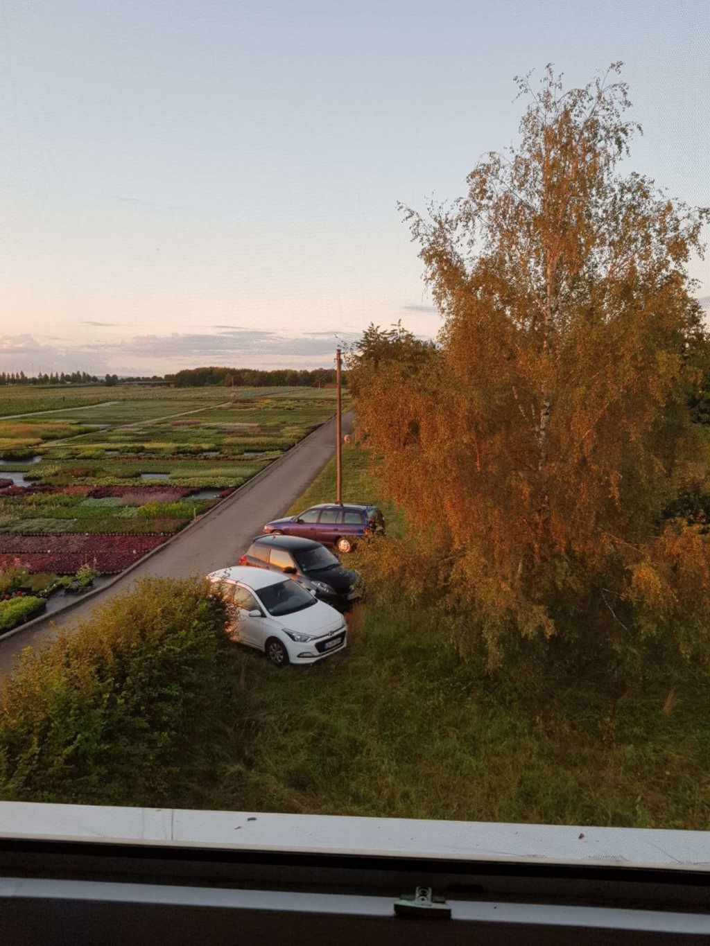 Flatshare Echterdingen Bliensäckerweg 1 - Blick aus dem Fenster