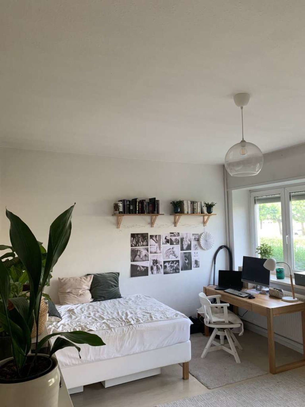 Flatshare Bornheim Wittelsbacherallee - picture 1
