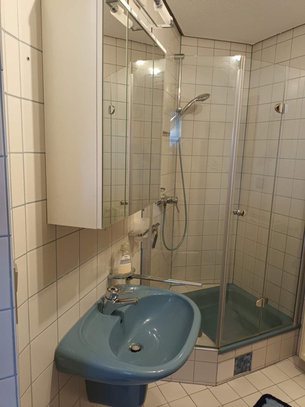 WG-Zimmer Maikammer Eulbuschgasse 1 - Badezimmer mit Dusche