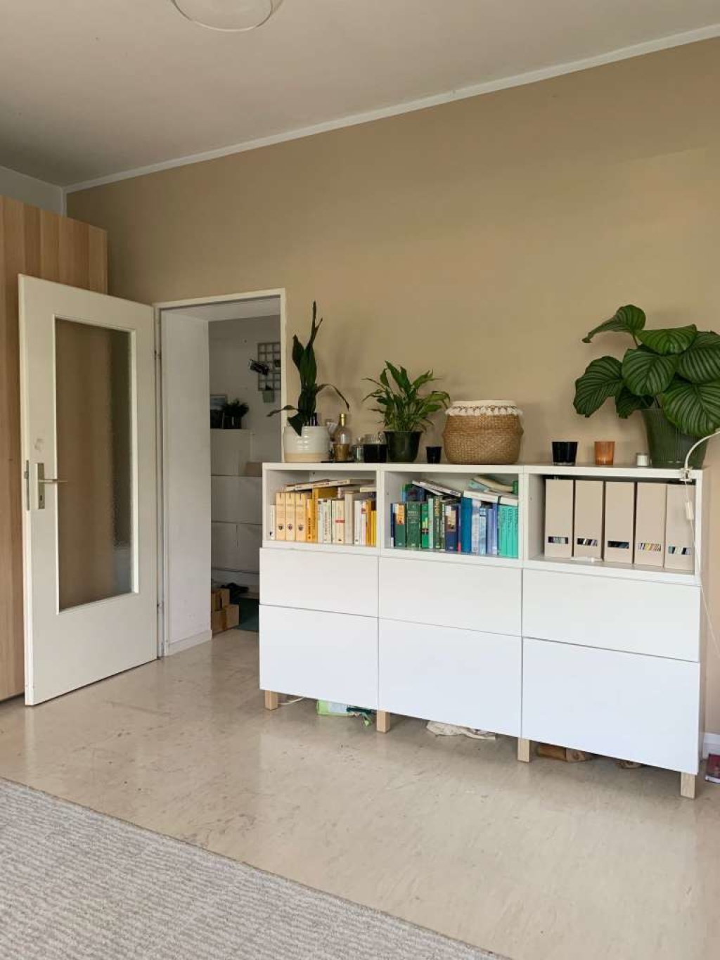 Flatshare Bornheim Wittelsbacherallee - picture 2