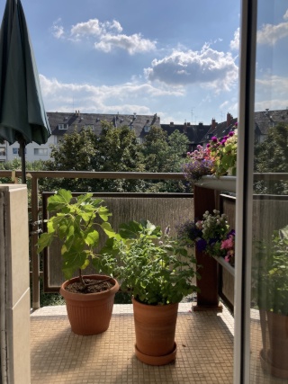 Imagen del anuncio: Möblierte 2,5 Zimmer Wohnung in Bilk