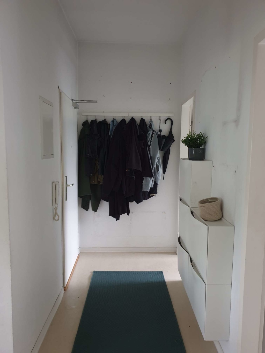 Flatshare Bornheim Wittelsbacherallee - picture 12