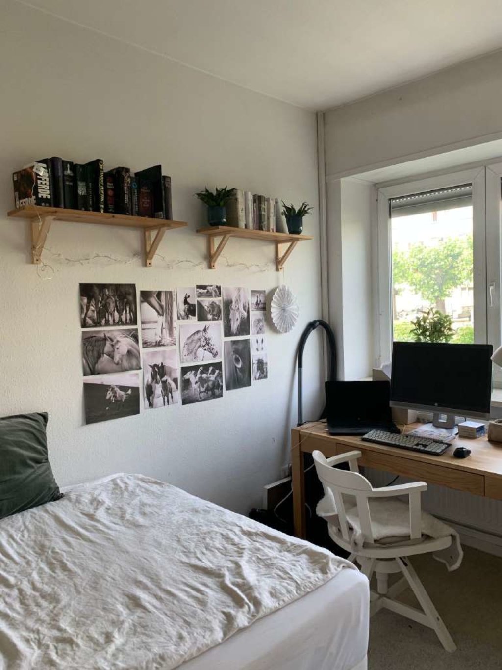 Flatshare Bornheim Wittelsbacherallee - picture 5