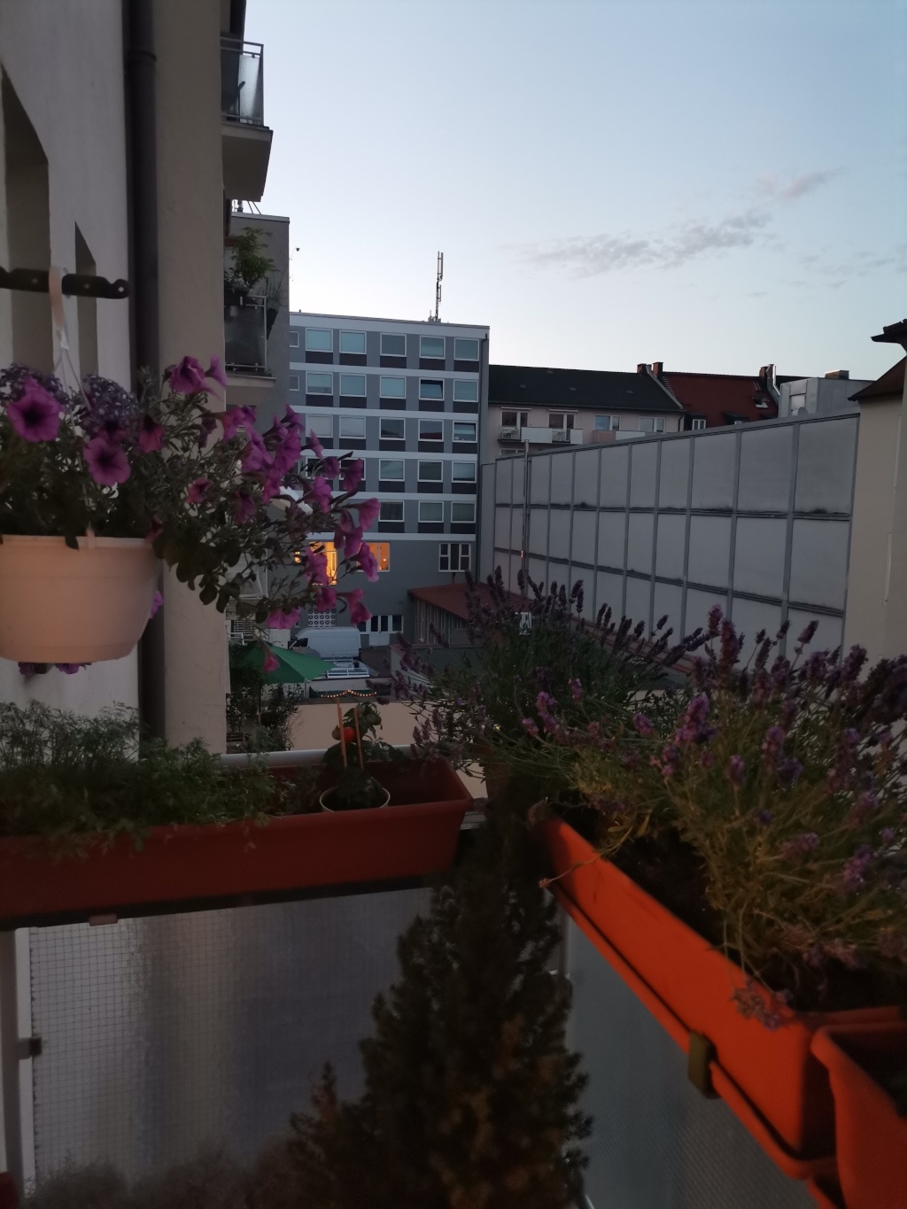 4 Zi - München Zentrum zwischenmiete 1.10.26 - 1.6.27 – Goethestrasse, 80336 München Ludwigsvorstadt-Isarvorstadt – Vorschaubild 10