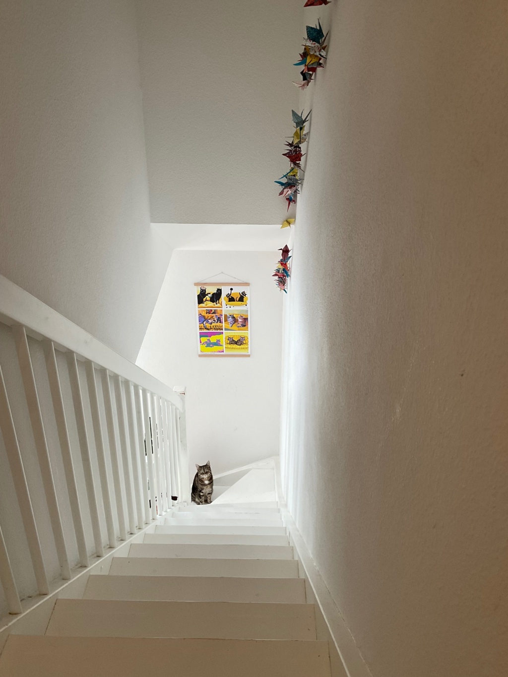 Katzen-Sitter:innen gesucht für hübsche Maisonette-Wohnung in Neukölln vom 26.09. bis 11.10.2026 – Walkenriederstraße, 12347 Berlin Neukölln – Vorschaubild 16