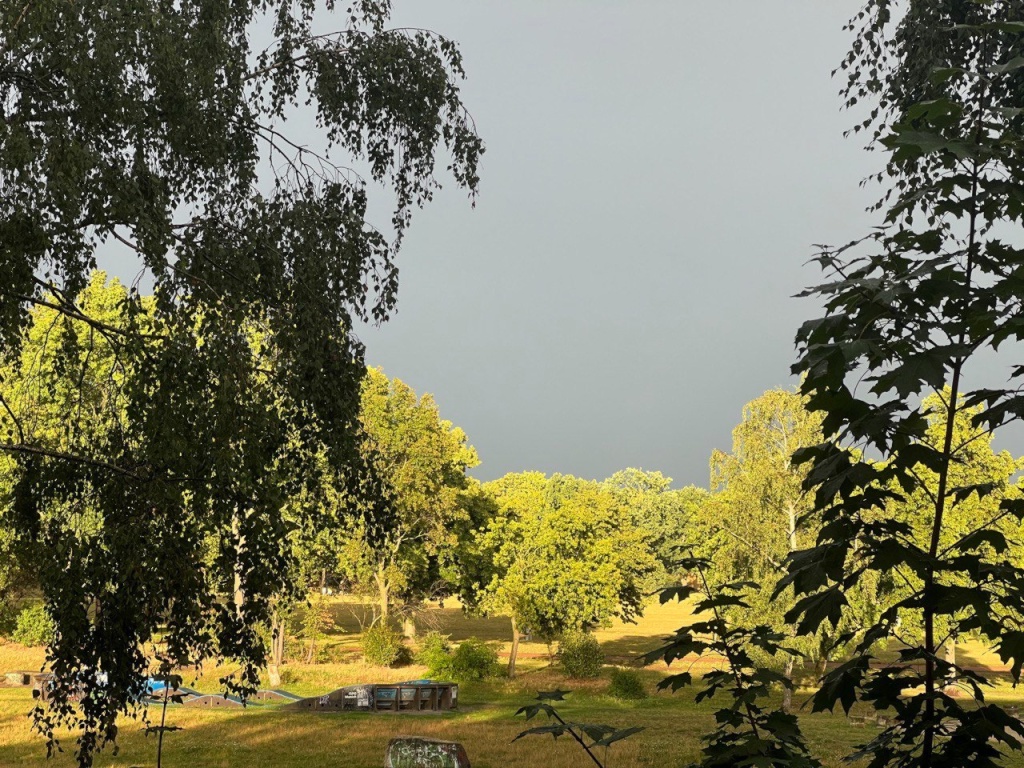 Tolle Wohnung in der Dresdner Neustadt für den Spätsommer/Herbst
